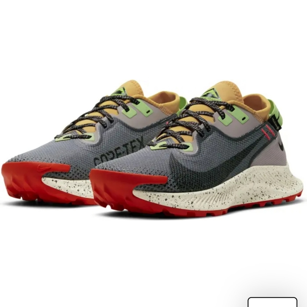 Pegasus trail 2 gore-tex trail running shoe